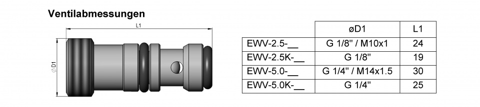 Einschraub-Wechselventil (Typ EWV)