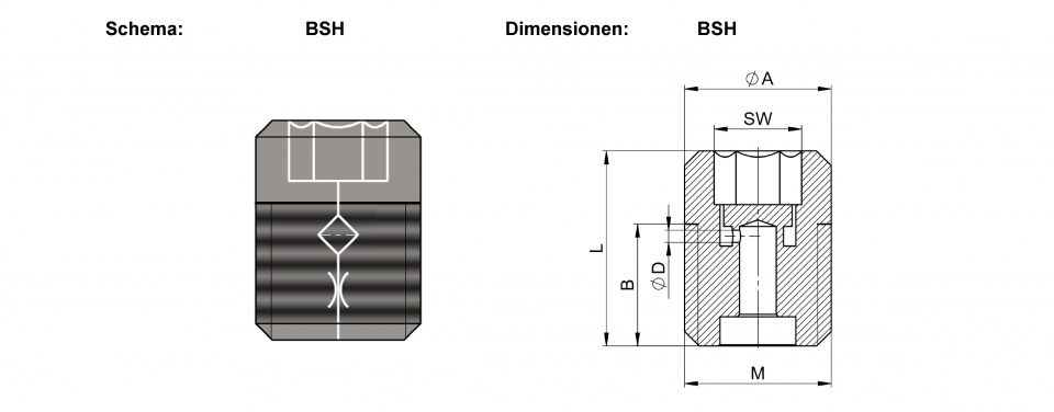 Düsen Typ F - Stahl BSV/BSH • BSH M6